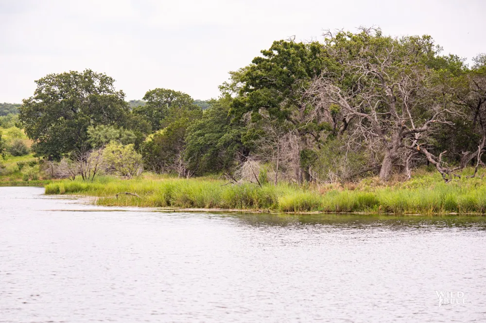 2170 River Shoals Road Mineral Wells, TX 76067