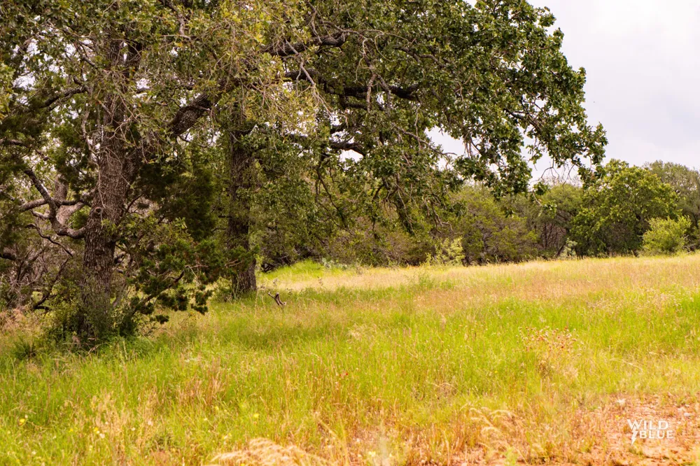 2170 River Shoals Road Mineral Wells, TX 76067
