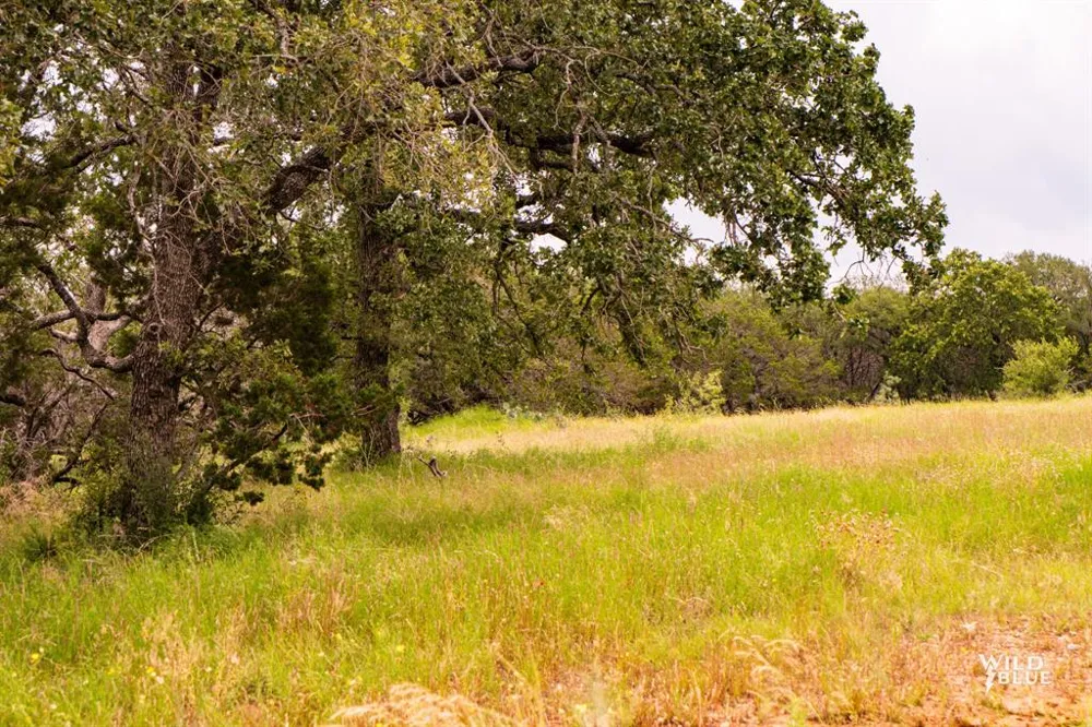 2170 River Shoals Road Mineral Wells, TX 76067