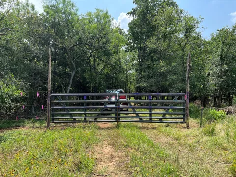 Carter Road