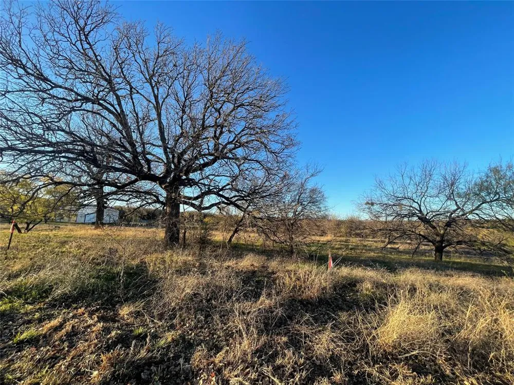 180 brazos west dr Mineral Wells, TX 76067