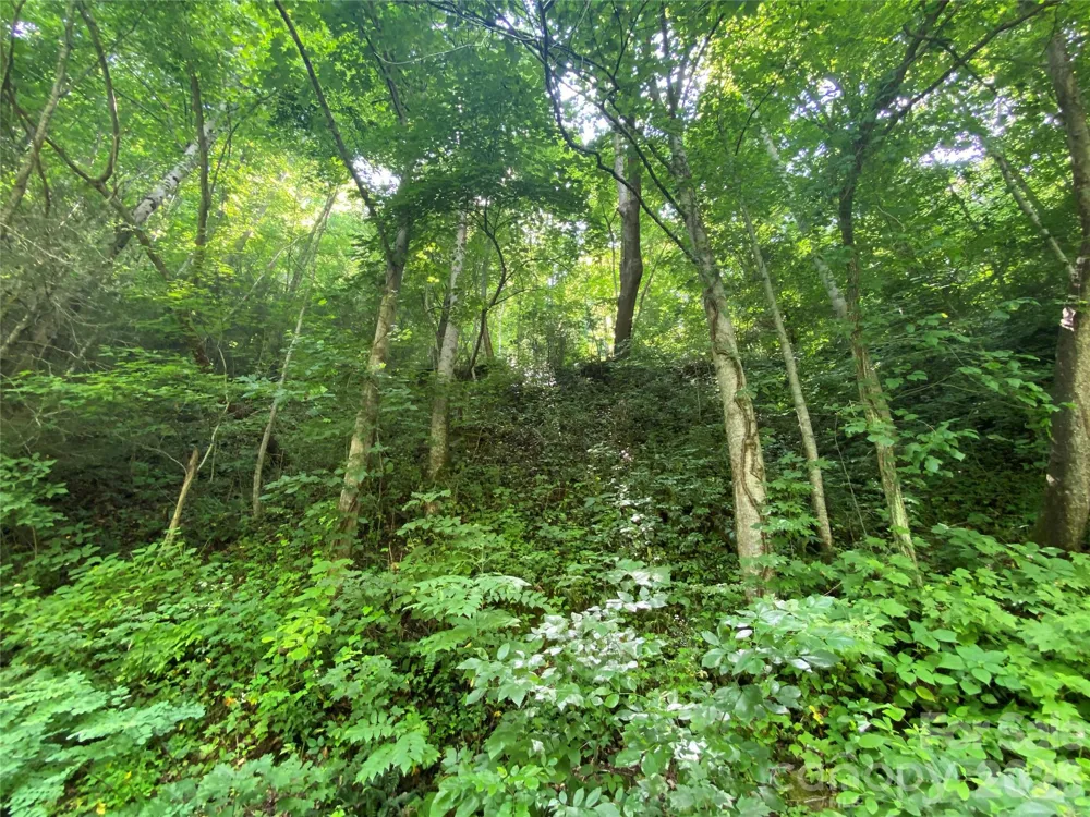 0000 Big Laurel Road Marshall, NC 28753