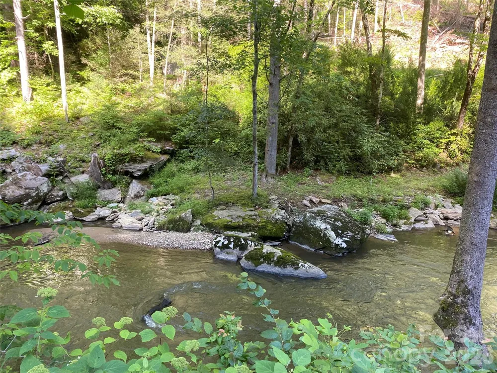 0000 Big Laurel Road Marshall, NC 28753