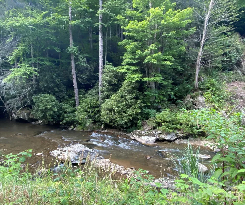 0000 Big Laurel Road Marshall, NC 28753