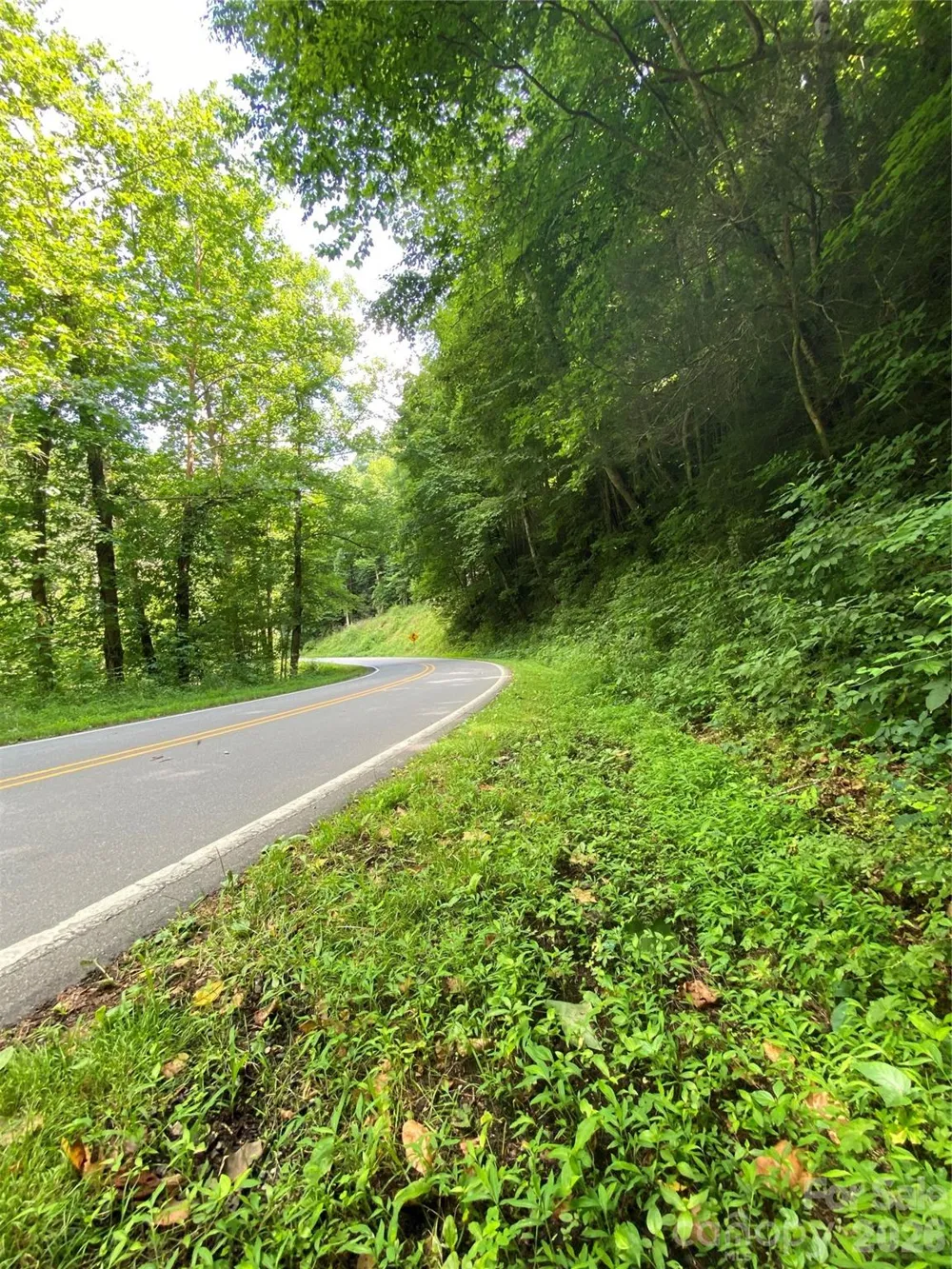 0000 Big Laurel Road Marshall, NC 28753