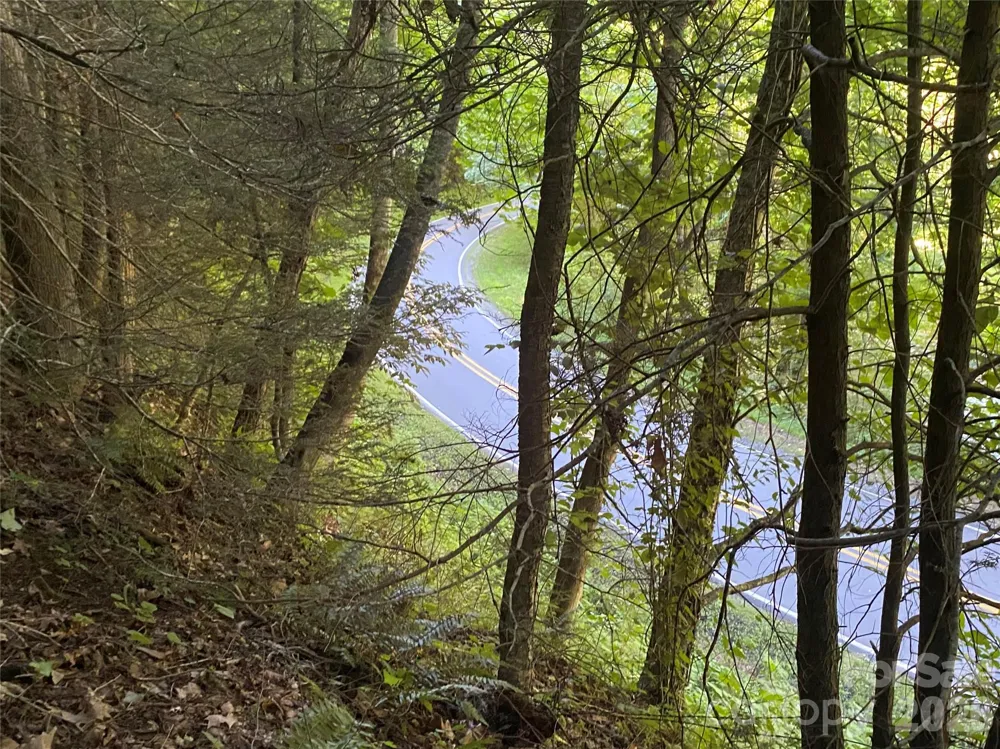0000 Big Laurel Road Marshall, NC 28753