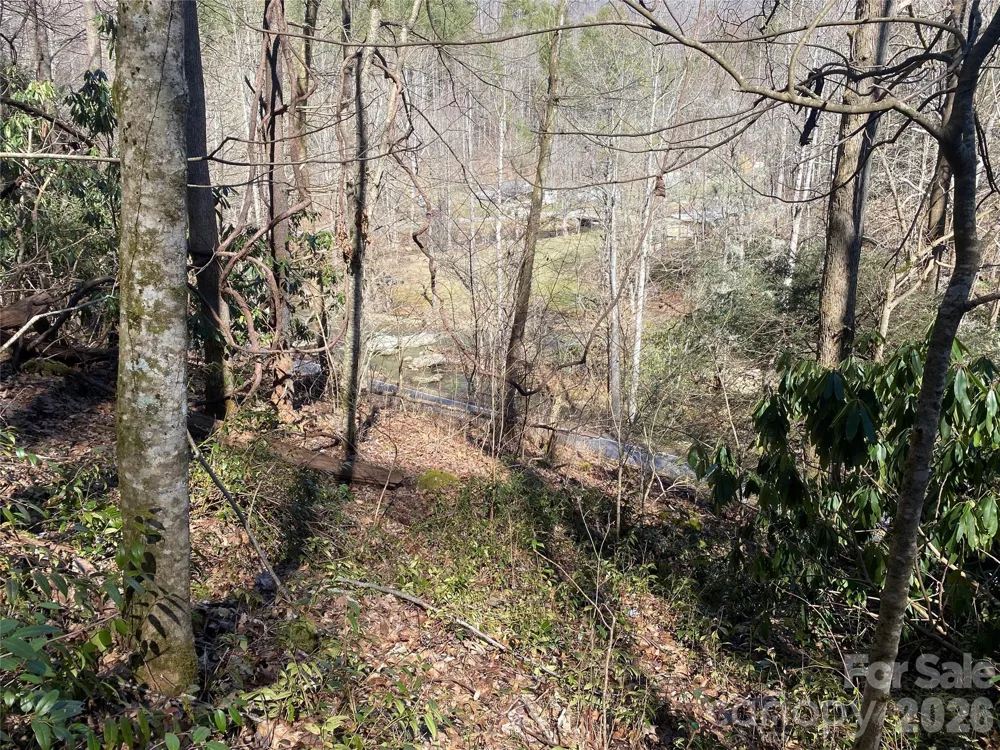 0000 Big Laurel Road Marshall, NC 28753