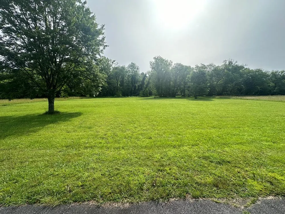 Lot 53 Brasstown Trails Warne, NC 28909