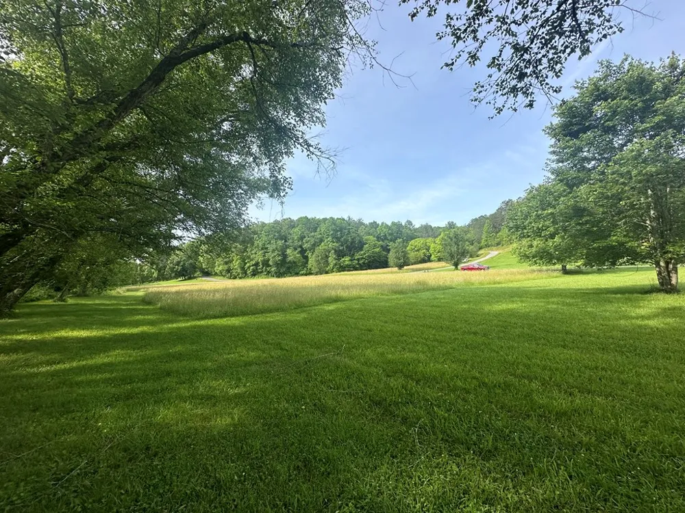 Lot 53 Brasstown Trails Warne, NC 28909