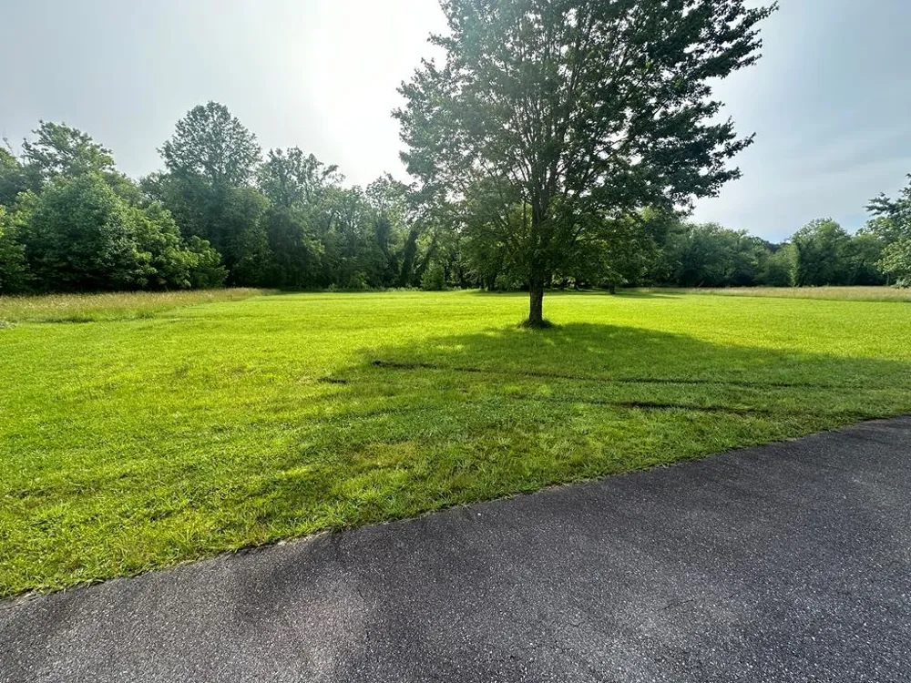 Lot 53 Brasstown Trails Warne, NC 28909