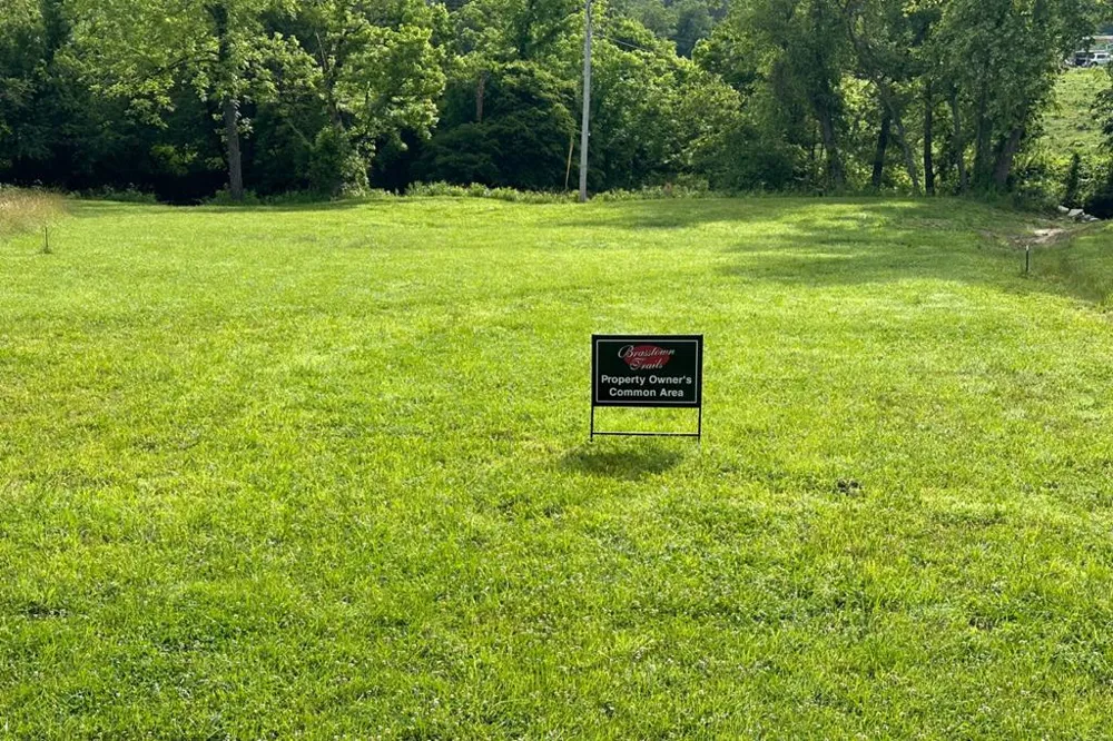 Lot 53 Brasstown Trails Warne, NC 28909