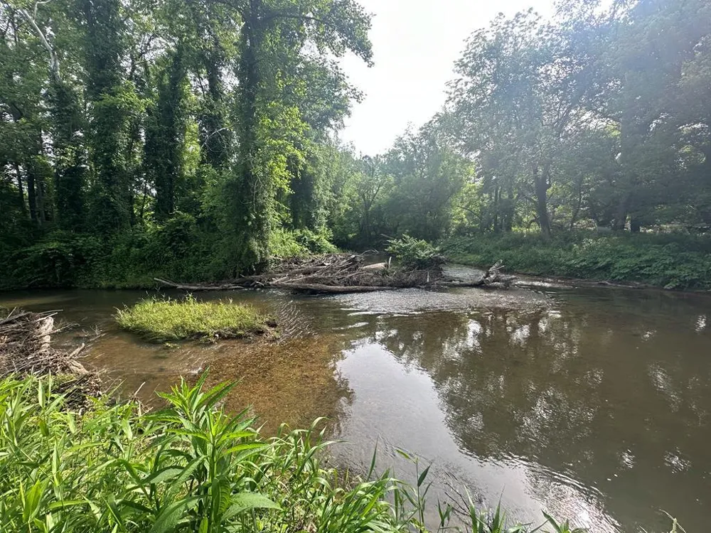 Lot 53 Brasstown Trails Warne, NC 28909