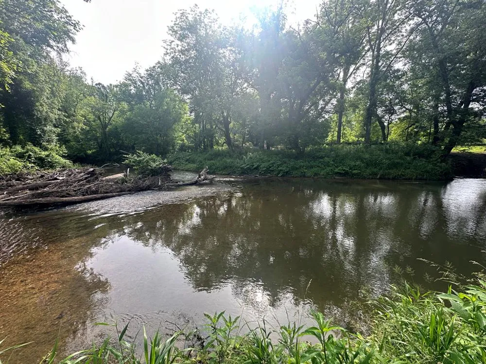 Lot 53 Brasstown Trails Warne, NC 28909