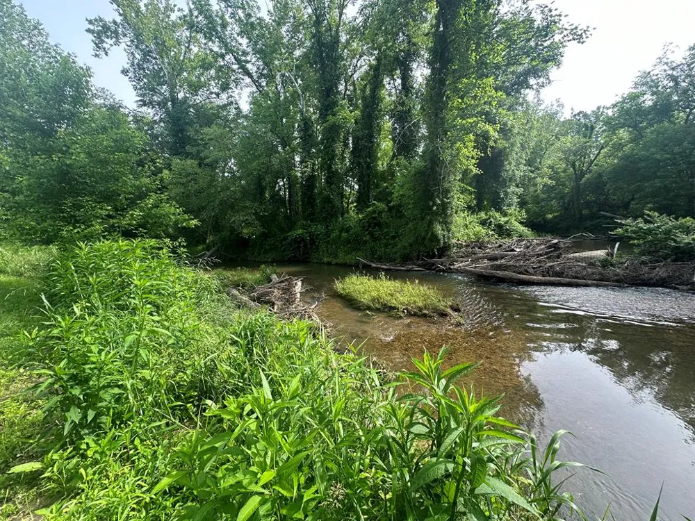 Lot 53 Brasstown Trails Warne, NC 28909