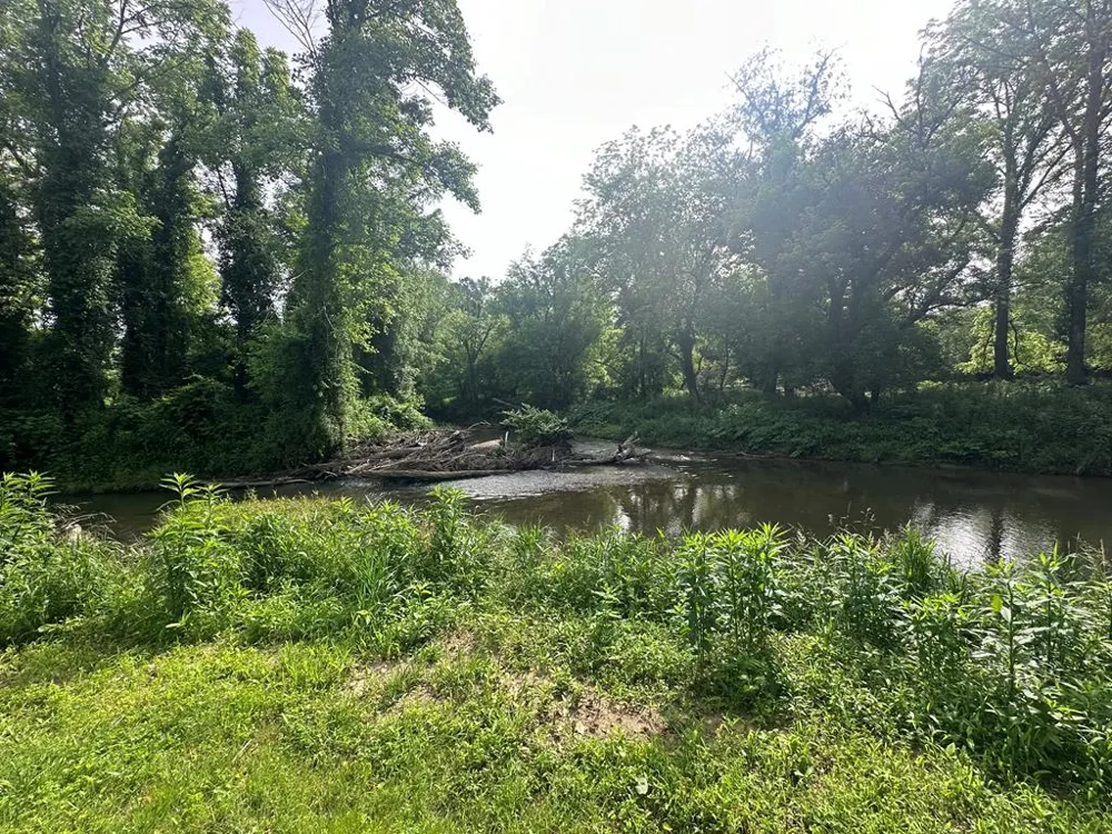 Lot 53 Brasstown Trails Warne, NC 28909