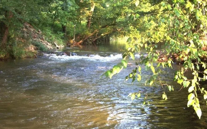 Lot 45 Brasstown Trails Warne, NC 28909