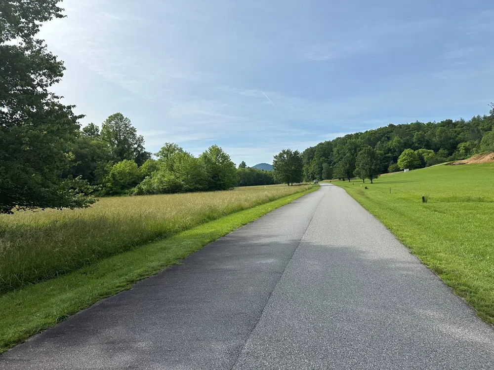 Lot 45 Brasstown Trails Warne, NC 28909