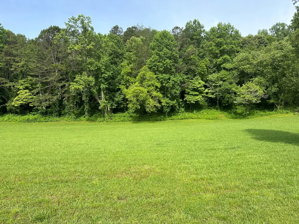 Lot 45 Brasstown Trails Warne, NC 28909