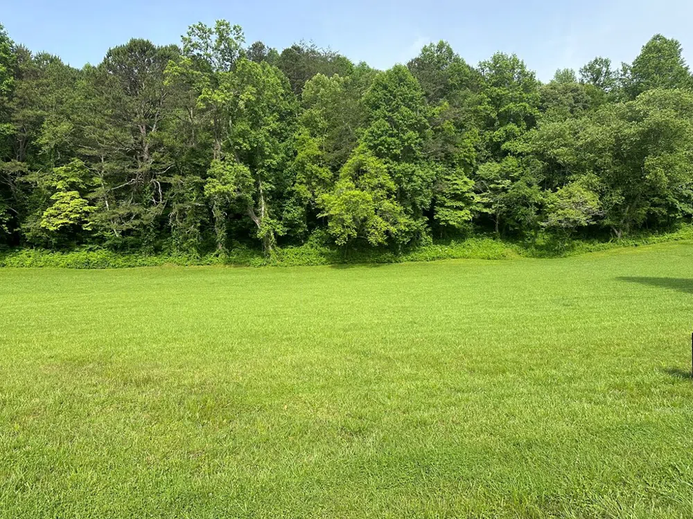 Lot 45 Brasstown Trails Warne, NC 28909