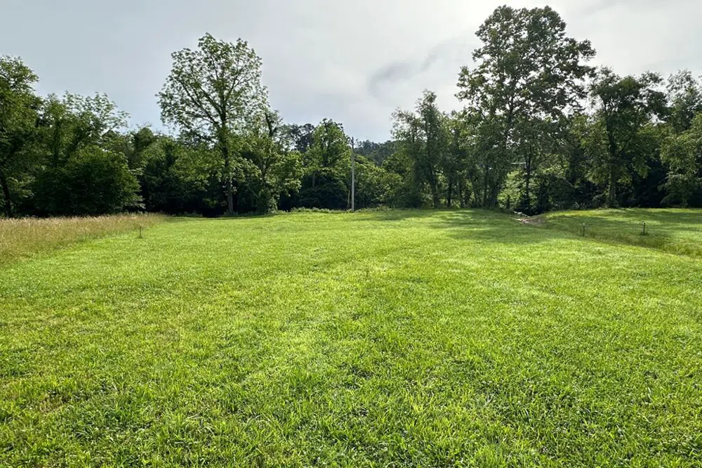 Lot 44 Brasstown Trails Warne, NC 28909