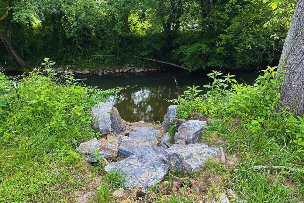 Lot 44 Brasstown Trails Warne, NC 28909