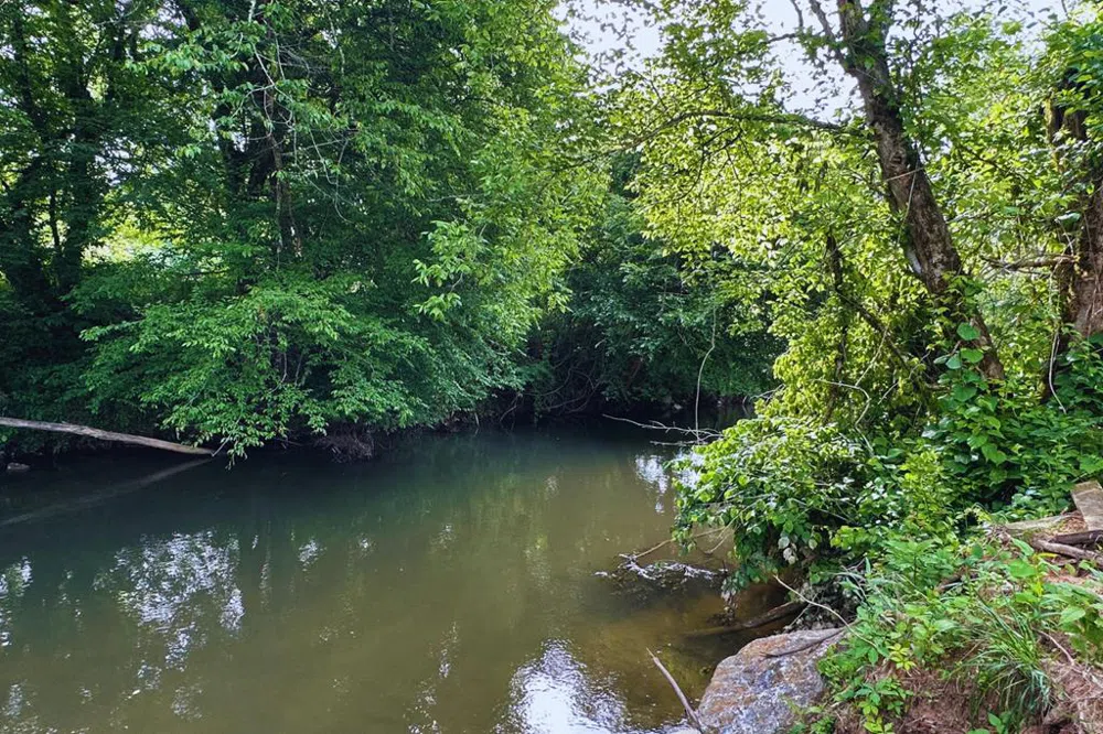 Lot 44 Brasstown Trails Warne, NC 28909
