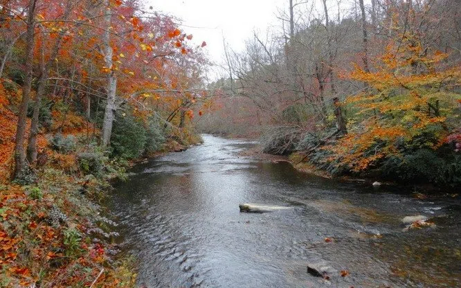Lot 44 Brasstown Trails Warne, NC 28909