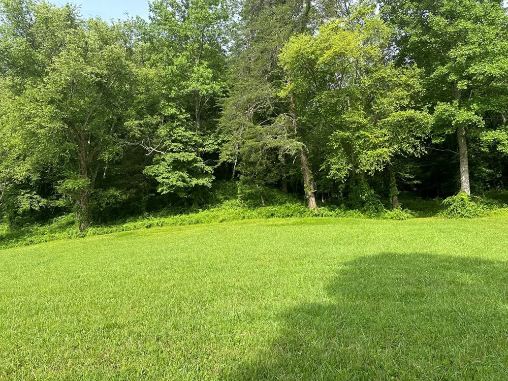 Lot 44 Brasstown Trails Warne, NC 28909