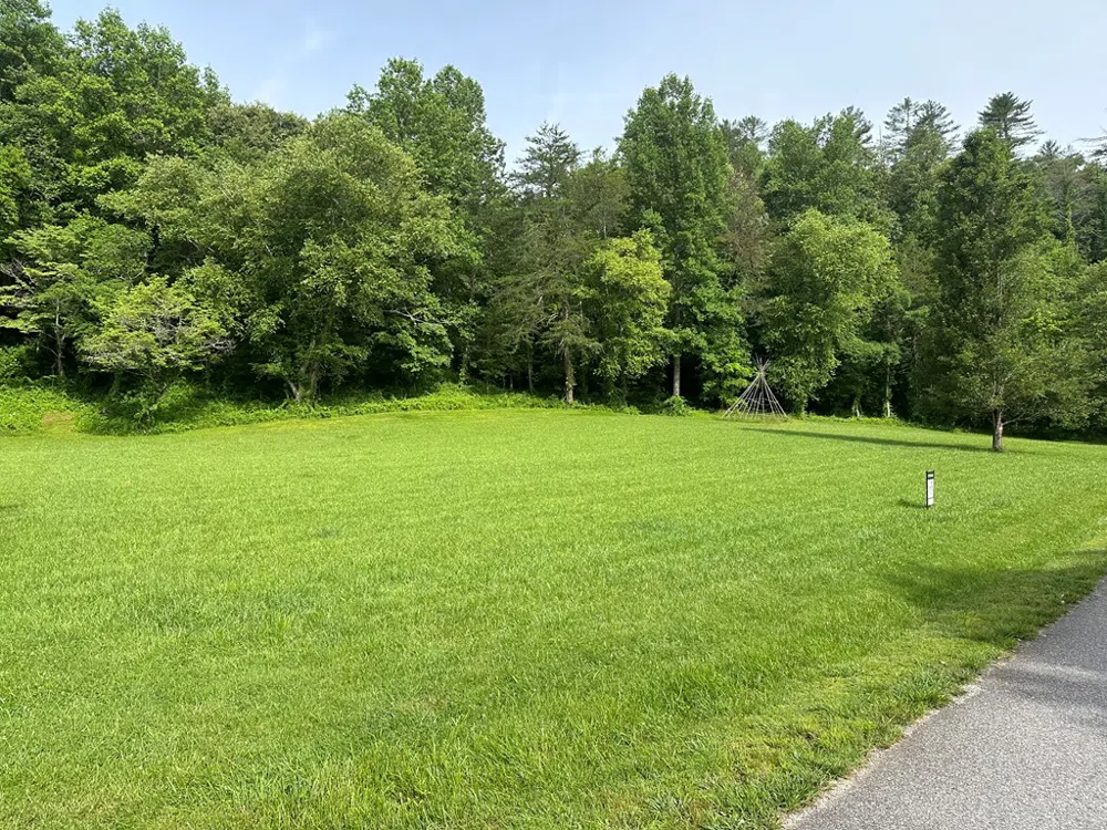 Lot 44 Brasstown Trails Warne, NC 28909