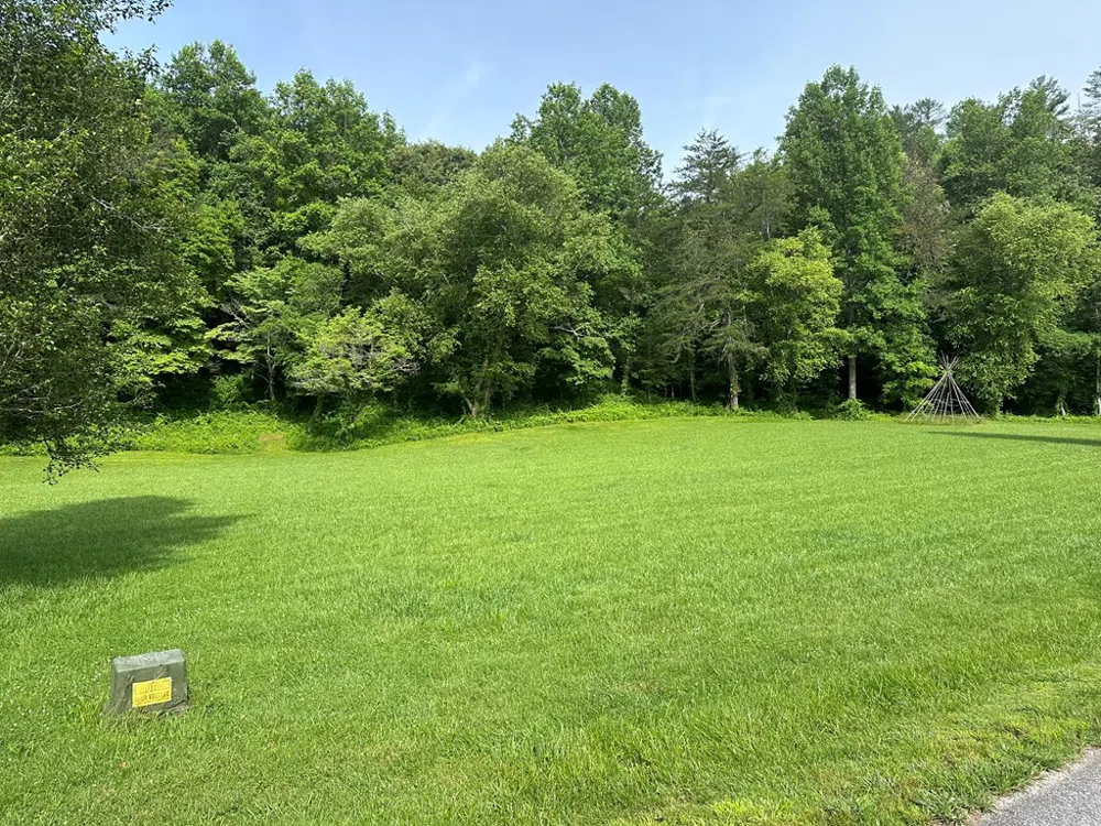 Lot 44 Brasstown Trails Warne, NC 28909