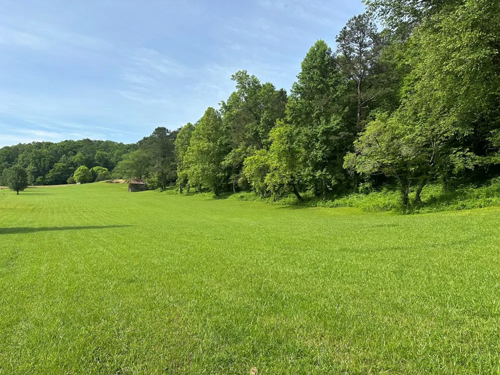 Lot 44 Brasstown Trails Warne, NC 28909