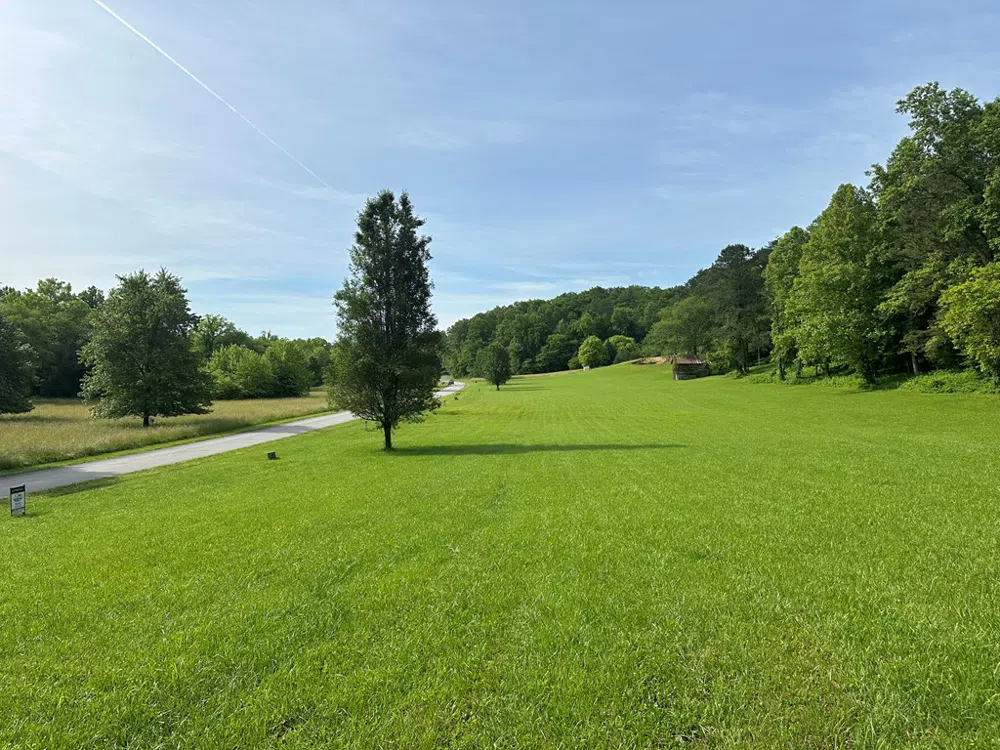 Lot 44 Brasstown Trails Warne, NC 28909