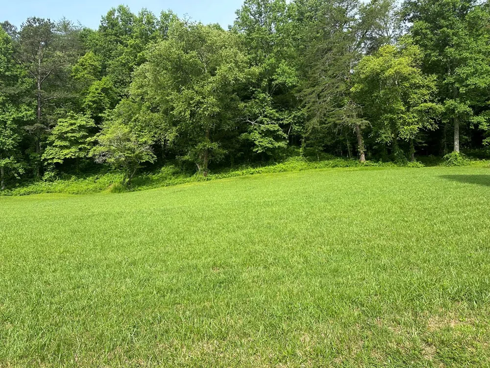 Lot 44 Brasstown Trails Warne, NC 28909