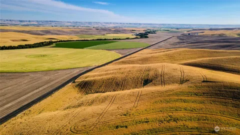 1 Lot TBD Loney Road