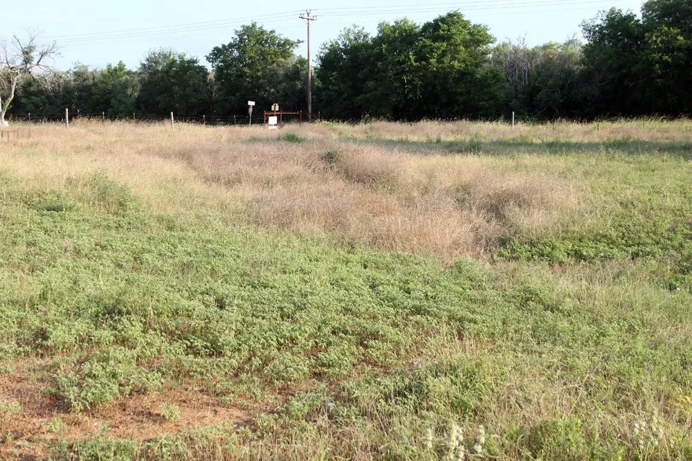 108 Sorrel Street Red Rock, TX 78662