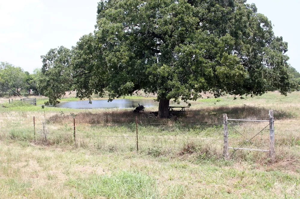 108 Sorrel Street Red Rock, TX 78662