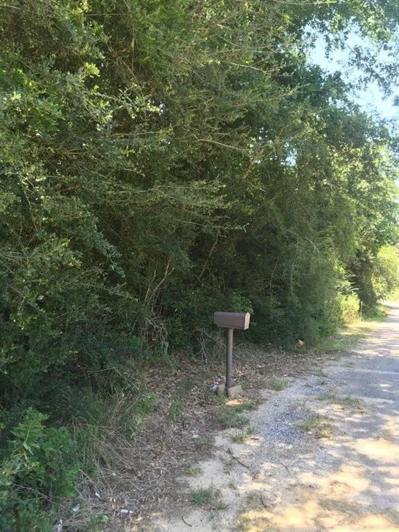 Baker Street Newton, TX 75966