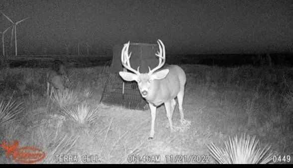 397 County Road 160 Southland, TX 79364
