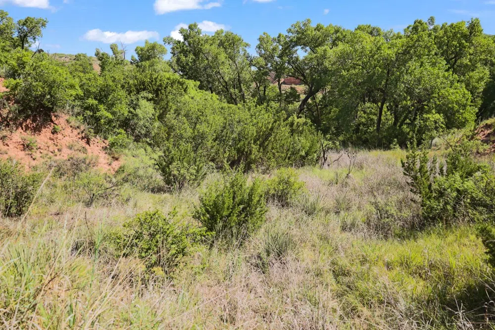 397 County Road 160 Southland, TX 79364