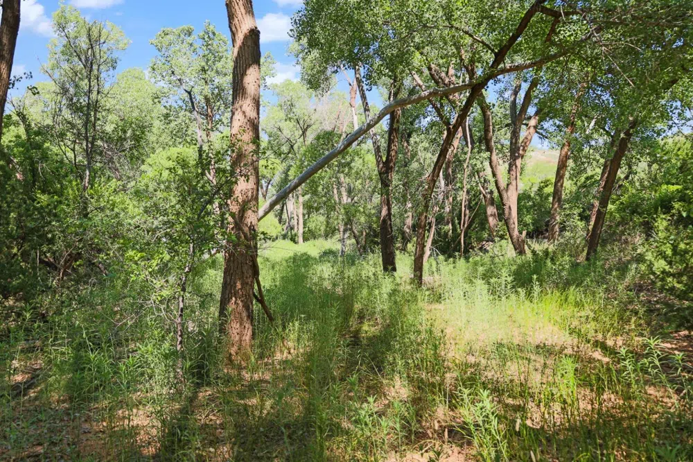 397 County Road 160 Southland, TX 79364
