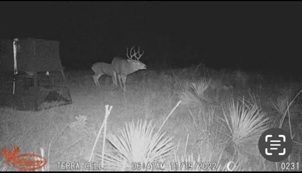 397 County Road 160 Southland, TX 79364