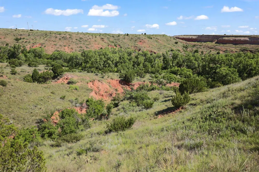 397 County Road 160 Southland, TX 79364