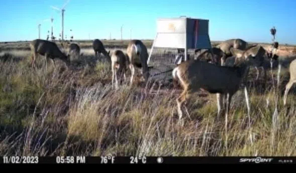 397 County Road 160 Southland, TX 79364