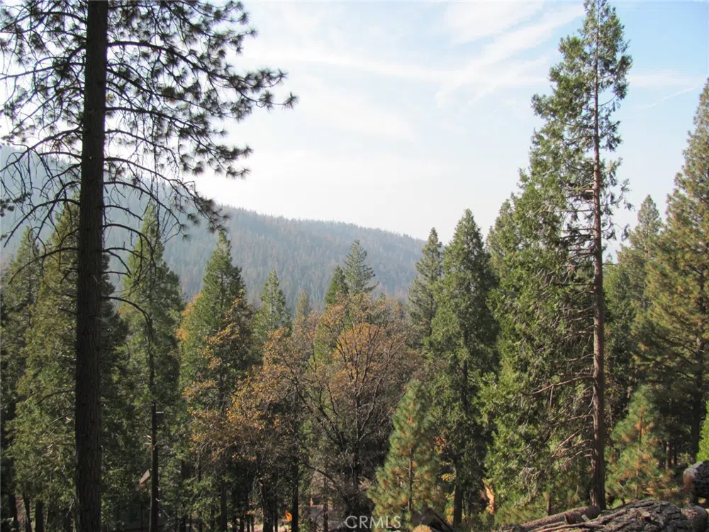 7343 Yosemite Park Way Yosemite, CA 95389