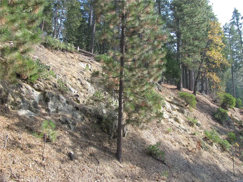 7343 Yosemite Park Way Yosemite, CA 95389