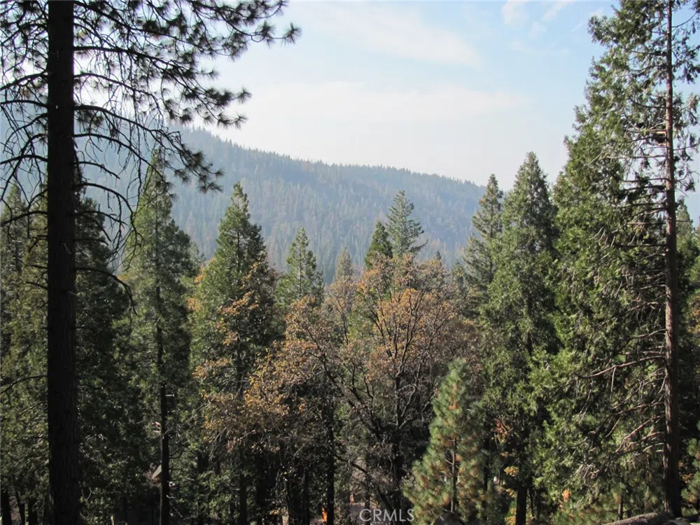 7343 Yosemite Park Way Yosemite, CA 95389