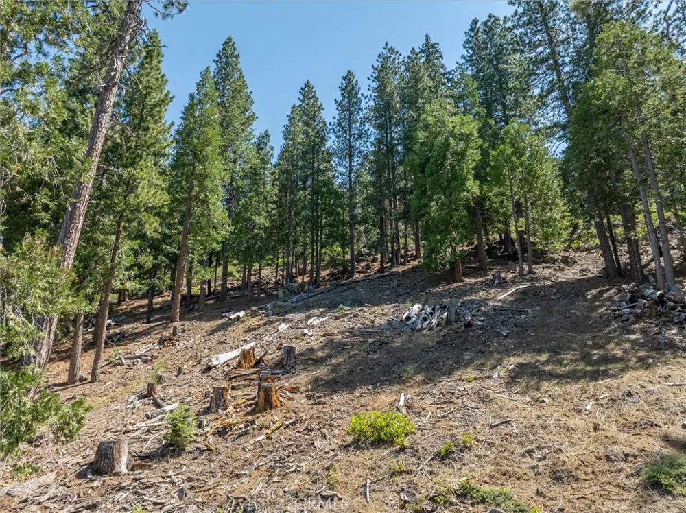 7343 Yosemite Park Way Yosemite, CA 95389