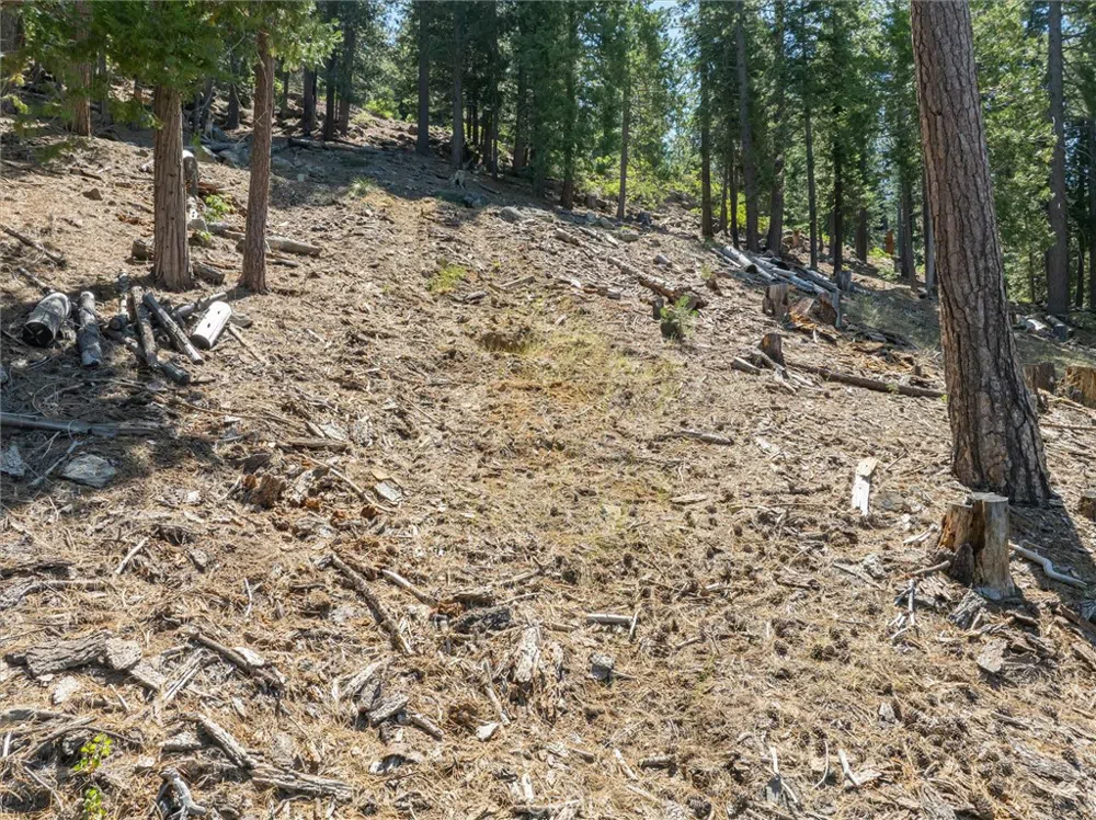 7343 Yosemite Park Way Yosemite, CA 95389