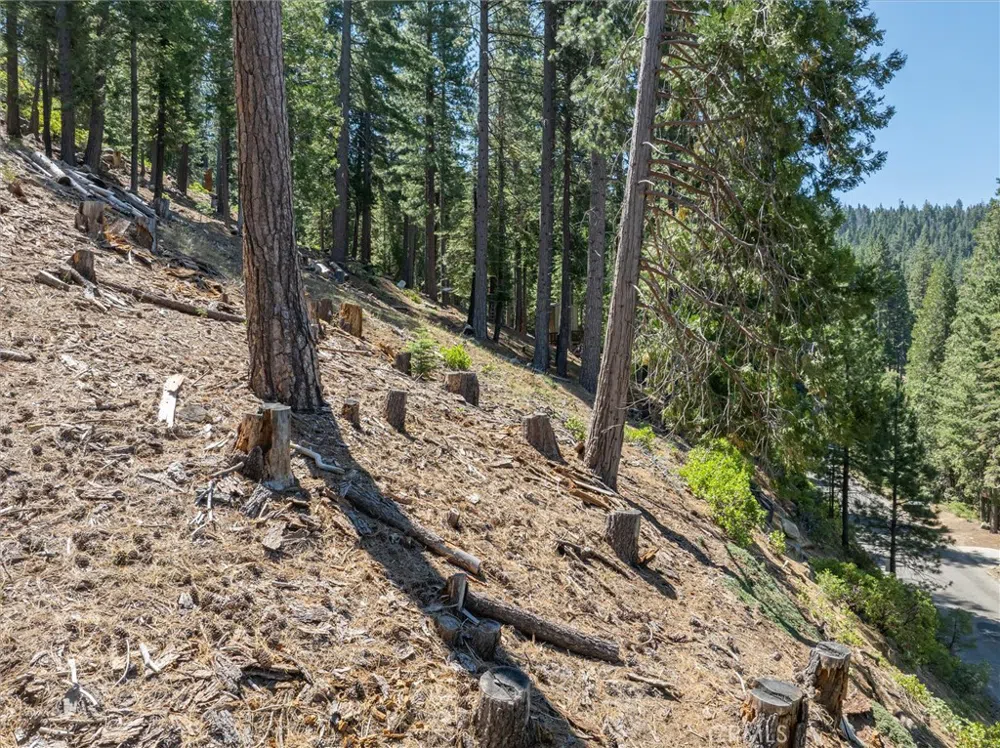 7343 Yosemite Park Way Yosemite, CA 95389