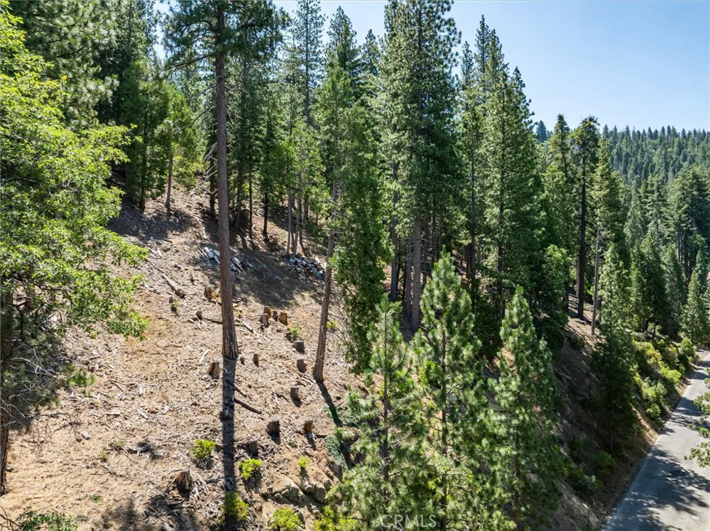 7343 Yosemite Park Way Yosemite, CA 95389